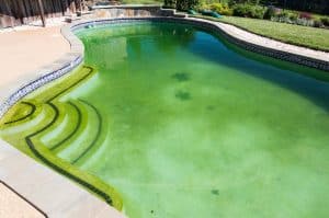 Green Swimming Pool