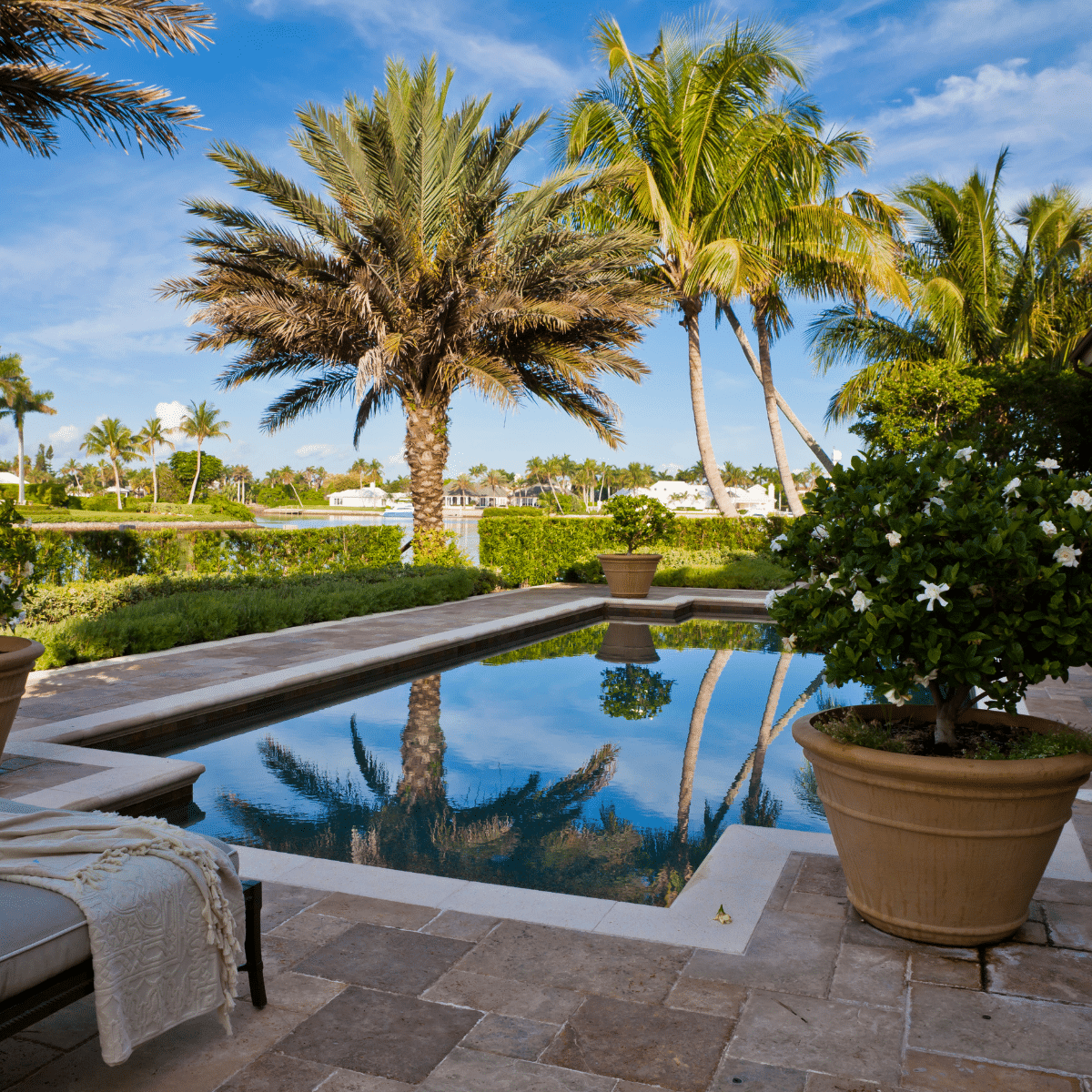Professional Pool Cleaning and Maintenance Services in Beverly Hills, California.